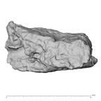 DV14-180n Homo sapiens cranium fragment view 2