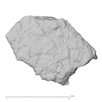 DV14-180o Homo sapiens cranium fragment view 1