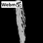 DV14-180o Homo sapiens cranium fragment ct stack movie