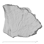 DV14-180p Homo sapiens cranium fragment view 1