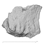 DV14-180p Homo sapiens cranium fragment view 2