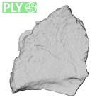 DV14-180p Homo sapiens cranium fragment ply