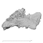 DV14-180q H. sapiens cranium fragment