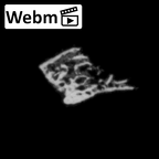 DV14-180q Homo sapiens cranium fragment ct stack movie