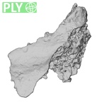 DV14-180q Homo sapiens cranium fragment ply