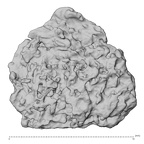 DV14-180r Homo sapiens cranium fragment view 2