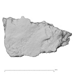 DV14-180s Homo sapiens cranium fragment view 1