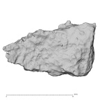 DV14-180s Homo sapiens cranium fragment view 2