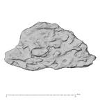 DV14-180t Homo sapiens cranium fragment view 2