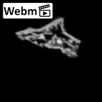 DV14-180u Homo sapiens cranium fragment ct stack movie