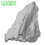 DV14-180u Homo sapiens cranium fragment ply