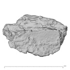 DV14-180v Homo sapiens cranium fragment view 2
