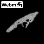 DV14-180v Homo sapiens cranium fragment ct stack movie