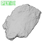 DV14-180v Homo sapiens cranium fragment ply