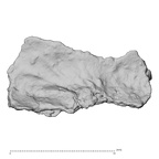 DV14-180w Homo sapiens cranium fragment view 3