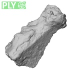 DV14-180w Homo sapiens cranium fragment ply