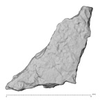 DV14-180x H. sapiens cranium fragment