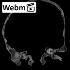 DV14-1 Homo sapiens cranium ct stack movie