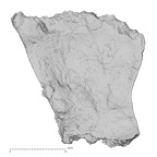 DV14-1 Homo sapiens cranium fragment view 1