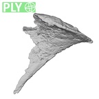 DV14-2 Homo sapiens cranium fragment ply