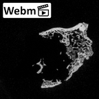 DV14-4 Homo sapiens cranium fragment ct stack movie