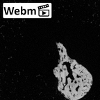 DV14-6 Homo sapiens malleus left ct stack movie