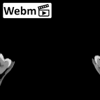 DV14-7 Homo sapiens mandible ct stack movie