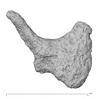 DV15-2 Homo sapiens incus right view 2