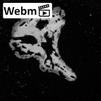DV15-2 Homo sapiens incus right ct stack movie