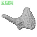 DV15-2 Homo sapiens incus right ply