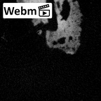 DV15-3 Homo sapiens malleus right ct stack movie