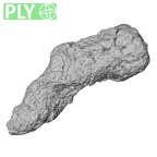 DV15-3 Homo sapiens malleus right ply