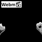 DV15-4 Homo sapiens mandible ct stack movie