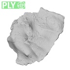 DV16-157 Homo sapiens cranium fragment ply