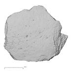 DV17-1 Homo sapiens cranium fragment view 1