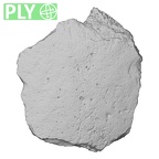 DV17-1 Homo sapiens cranium fragment ply