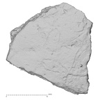 DV17-2 Homo sapiens cranium fragment view 1