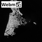 DV13-112 Homo sapiens calcaneus right ct stack movie