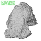 DV14-134 Homo sapiens calcaneus left ply