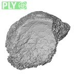 DV14-135 Homo sapiens navicular right ply