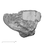 DV14-136 Homo sapiens cuboid right medial