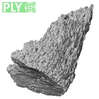 DV14-140 Homo sapiens metatarsal first left ply