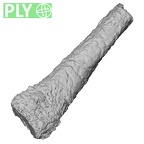 DV14-141 Homo sapiens metatarsal second right ply