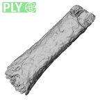 DV14-141 Homo sapiens metatarsal second right ply