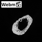 DV14-144 Homo sapiens metatarsal fourth right ct stack movie