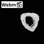 DV15-138 Homo sapiens metatarsal second left ct stack movie