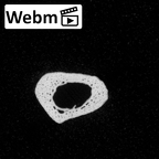 DV15-139 Homo sapiens metatarsal second right ct stack movie