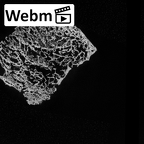 DV16-125 Homo sapiens calcaneus right ct stack movie