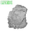 DV16-125 Homo sapiens calcaneus right ply