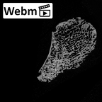 DV16-127 Homo sapiens navicular right ct stack movie
